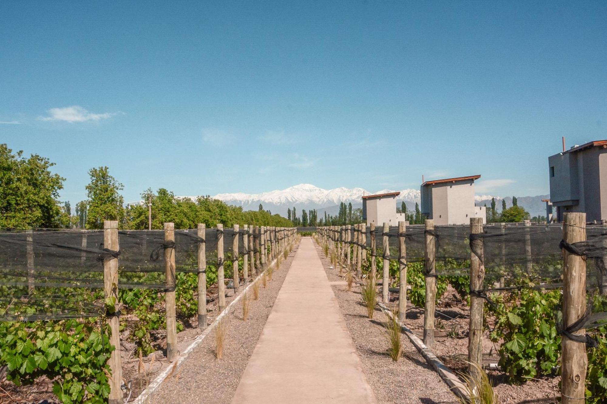 Agrelo Vines Lodge Exterior foto