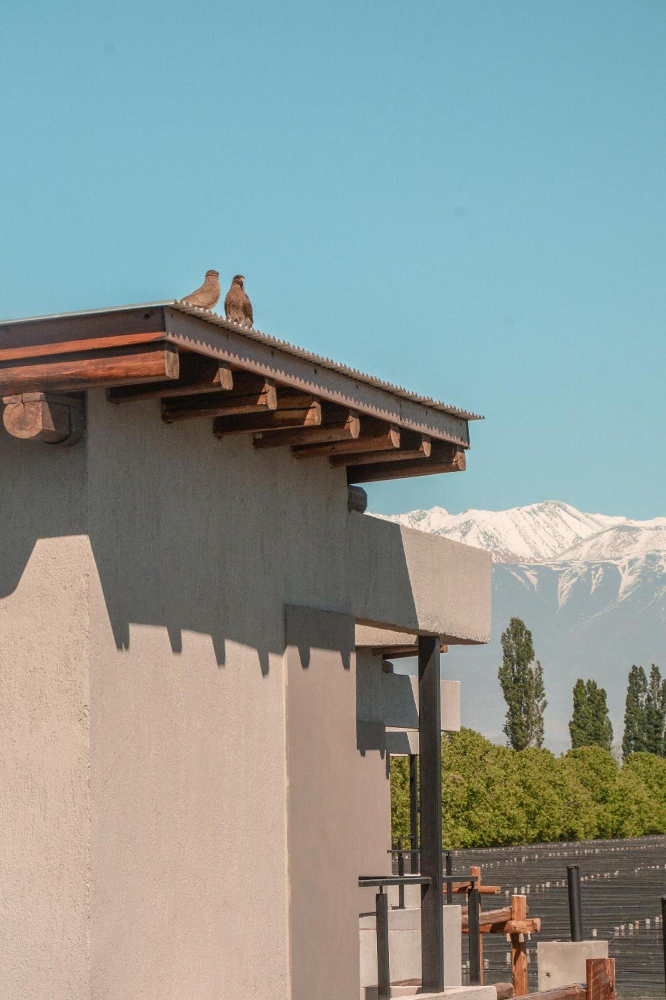 Agrelo Vines Lodge Exterior foto